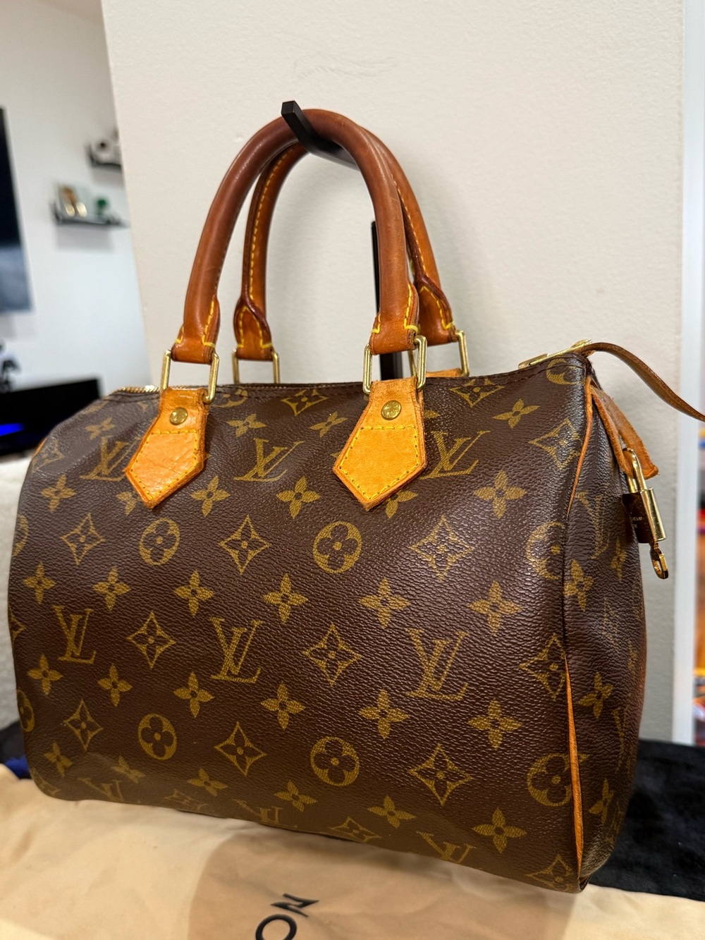 Louis Vuitton Monogram Speedy 25 Bag